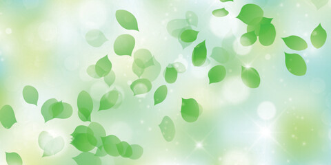 新緑　葉　風景　背景	