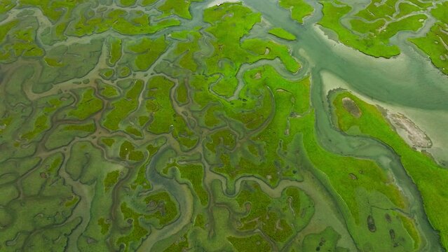 Coastal peat bog landscape with various canals. Abstract aerial view