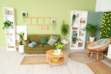 Blurred view of living room with green plants, sofa and shelf units