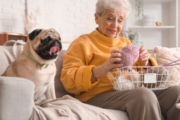 Senior woman with knitting yarn and pug dog on sofa at home