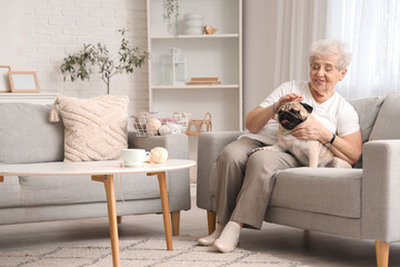 Senior woman with pug dog resting on sofa at home - obrazy, fototapety, plakaty
