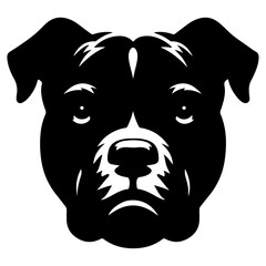 minimal angry Pitbull dog vector silhouette, black color silhouette