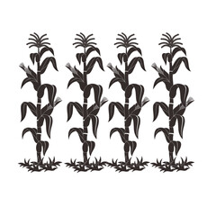 corn tree illustration