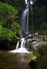 beautiful short waterfalls and tall waterfalls