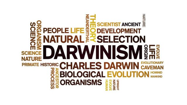 Darwinism animated tag word cloud;text design animation kinetic typography seamless loop.
