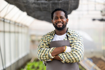 happy african male farmer worker standing portrait in greenhouse farm agriculture small business...