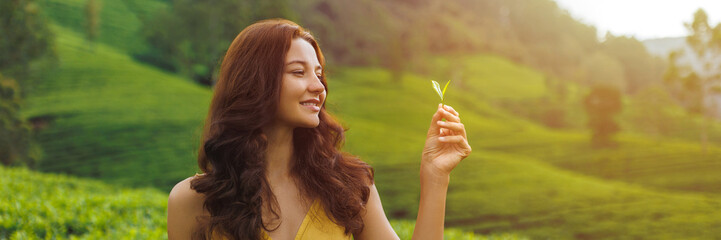 Naklejka premium Traveler woman picking up green tea leaves in hand during her travel to famous nature landmark tea plantations. Romantic brunette girl in stylish yellow dress enjoying her vacations against perfect