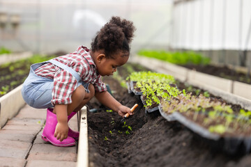 African black child playing planting the green tree gardening in agriculture farm. Children love...