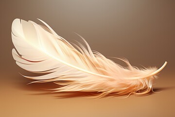 a single white feather