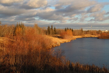 autumn landscape with lake and trees