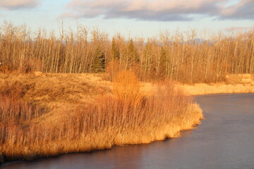 Sunset Light On The Land, Pylypow Wetlands, Edmonton, Alberta