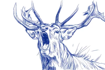 Foto auf Acrylglas Antireflex drawing a deer stroke style © Yoshimura