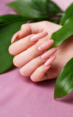 Female hands with pink nail design  hold green leaves