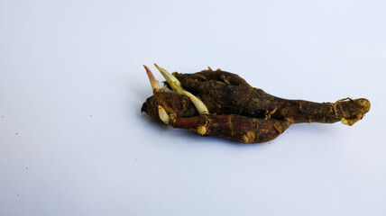 ginger that is starting to sprout