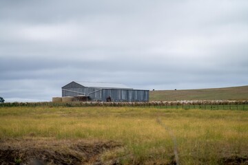 Fototapeta na wymiar Loading hay bales on to a truck in a field