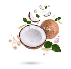 Spices and herbs in cooking include coconut, lemongrass, garlic, kaffir lime leaves isolated on white background