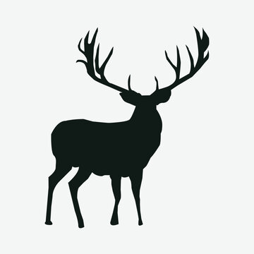 Deer silhouette wild deers