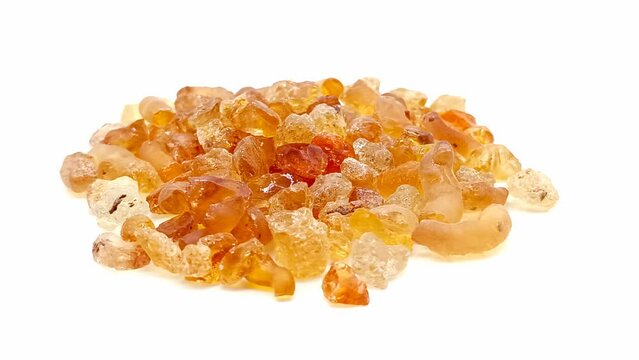 Babul gond video with selective focus