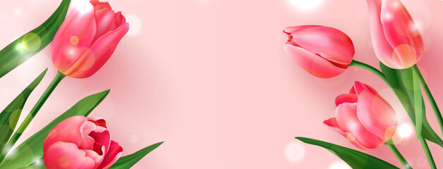 Background with realistic tulips. Vector illustration with space for text.