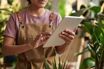 Unrecognizable female plant shop worker looking through online orders on digital tablet