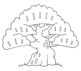 シンプルな松の木