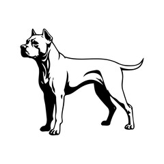Obraz na płótnie Canvas Standing american pit bull terrier dog, american pit bull terrier Dog monochrome clip art. Vector illustration