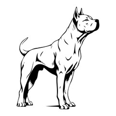 Fototapeta premium Standing american pit bull terrier dog, american pit bull terrier Dog monochrome clip art. Vector illustration
