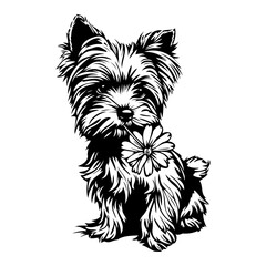 Funny puppy in a flower Vector . Yorkshire Terrier.