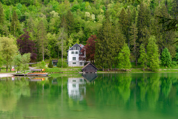 Fototapeta na wymiar country house on the shore of a lake with clear water surrounded by spring forest. Beautiful spring landscape