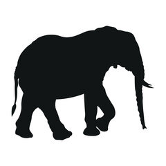 Fototapeta premium Silhouette Elephant World Wildlife Day