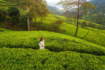 Admire the beauty of nature background tea plantations landscape with a romantic woman traveler looking away. A perfect moment for contemplation and wellbeing.