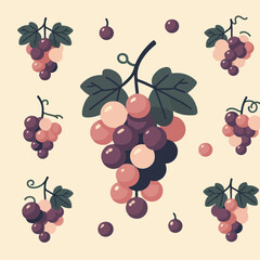 flat illustration set of grapes