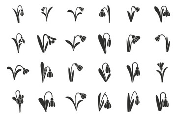 Snowdrop icons set simple vector. Flower spring nature. Leaf floral beauty