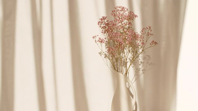 Light and shadows of waving white tulle near the window. Pink flowers in a vase. Transparent soft light and shadow on wall. Product presentation, advertising. High quality 4k footage