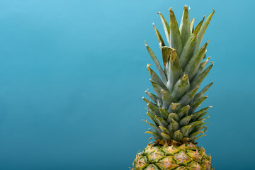 Korona ananasa złożona z pięknych lisci - obrazy, fototapety, plakaty