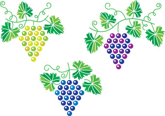 Grapes.
Simplified design.  - 706241603
