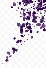 Yellow Geranium Blur Vector White Transparent