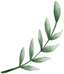 Olive branch, Holy Week Catholic Tradition watercolor illustration