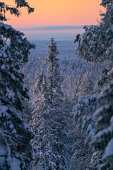 Lapland in winter with large amount of snow during sunrise