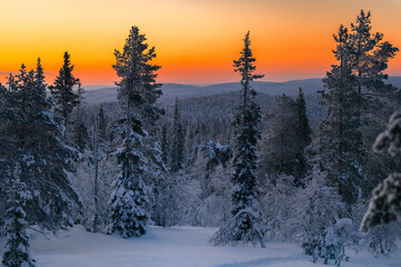 Fototapeta na wymiar Lapland in winter with large amount of snow during sunrise