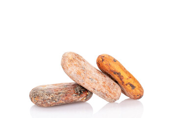 Several dry cocoa beans, macro, isolated on white background.