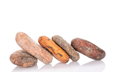 Several dry cocoa beans, macro, isolated on white background.