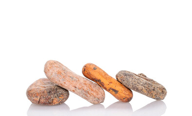 Several dry cocoa beans, macro, isolated on white background.
