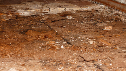 Rotten wooden parquet on the floor. Damaged parquet