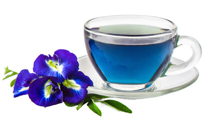 butterfly pea flower with cup