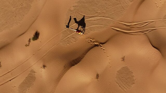 The drone is flying topdown following a man with a camel and a person on top in the dessert with their shadow on the ground in Tunisia Aerial Footage 4K