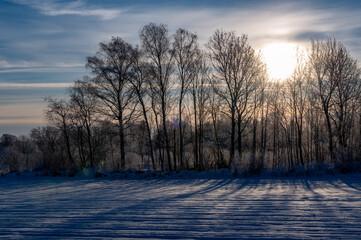 Backlight over agriculture fields covered in snow