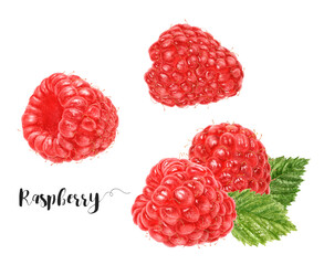 Watercolor illustration of raspberry close up. Design template for packaging, menu, postcards.