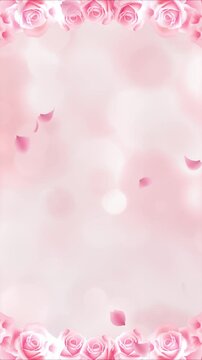 Pink rose petals are falling beautifully. Glitter abstract background. Mother's Day, Valentine's Day, wedding celebrations.loop video.(079)