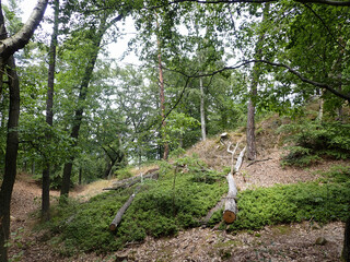 Townscape  in Czech Karlovy Vary